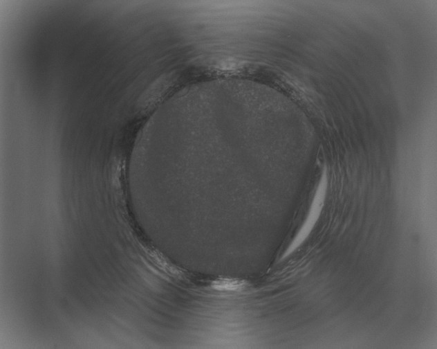 X0000074010225200609181842