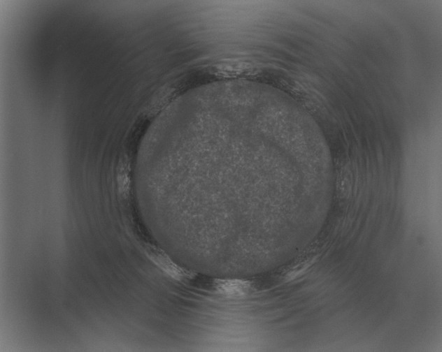 X0000074010226200609181842