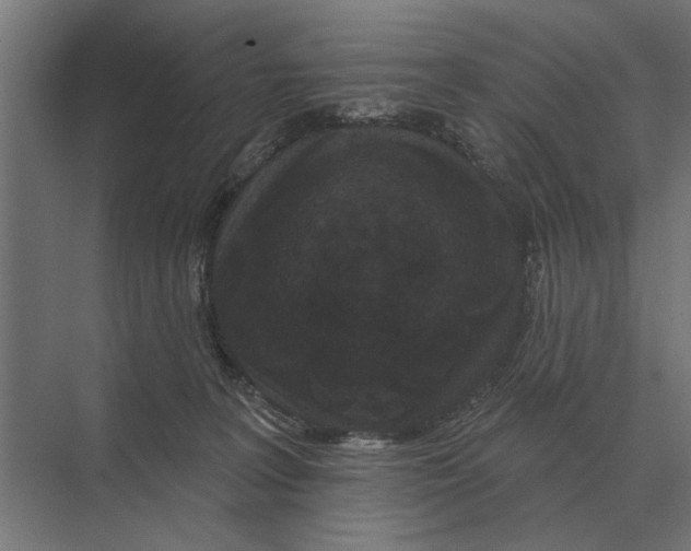 X0000074010227200609181842