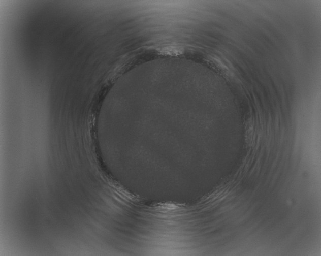 X0000074010229200609181842