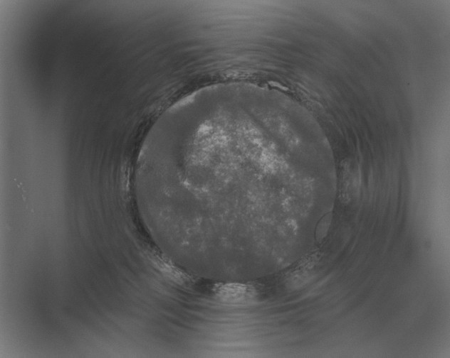 X0000074010230200609181842