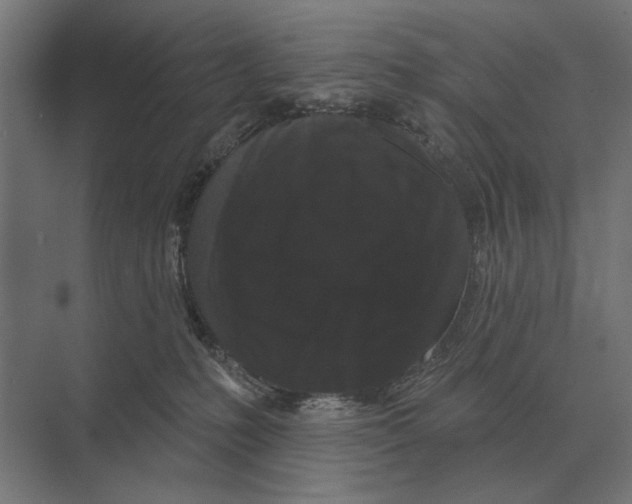 X0000074010231200609181842