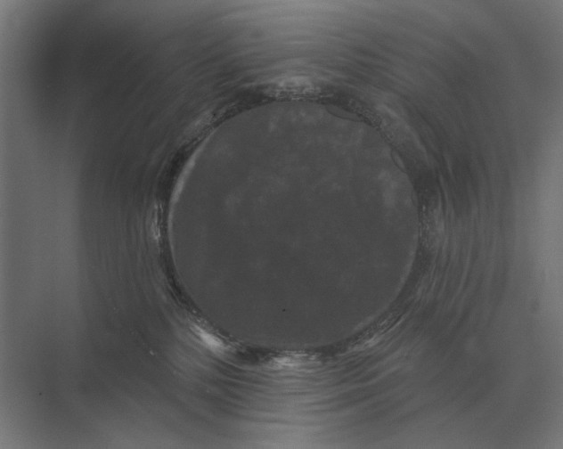 X0000074010232200609181842