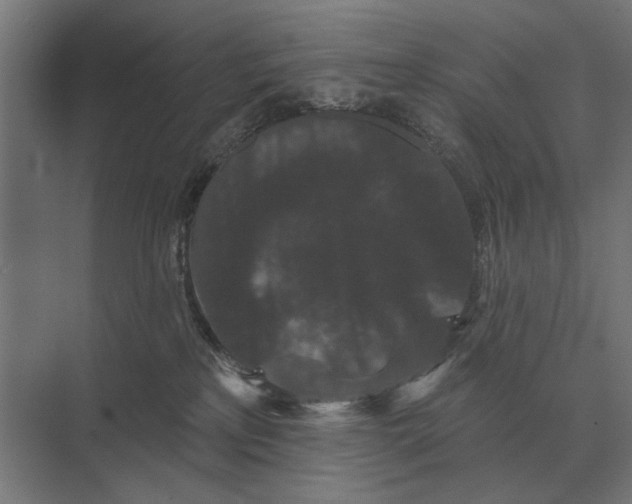 X0000074010233200609181842