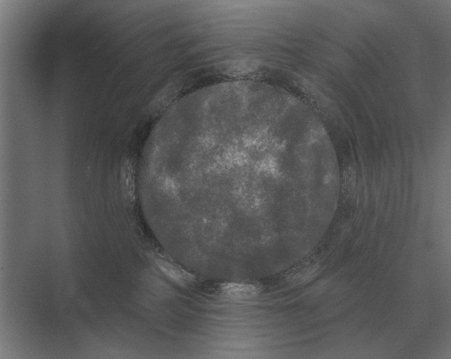 X0000074010234200609181842