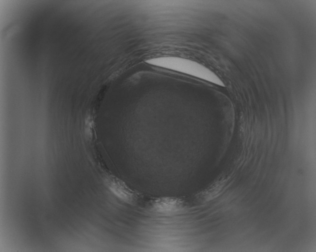 X0000074010235200609181842