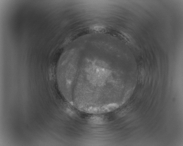 X0000074010236200609181842