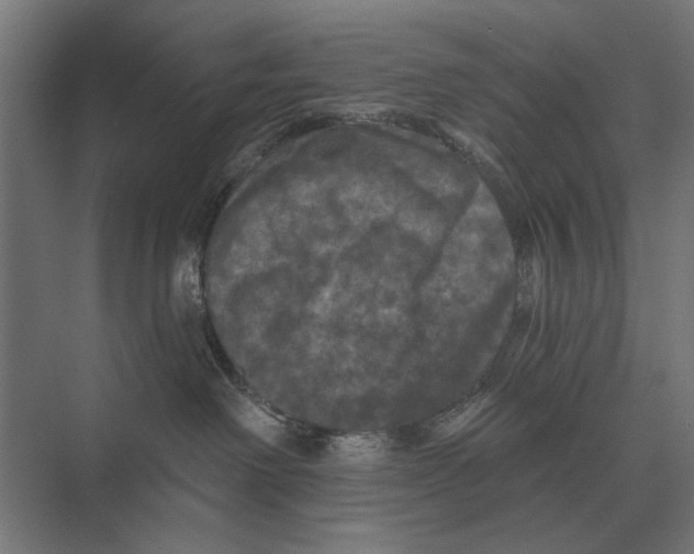 X0000074010238200609181842