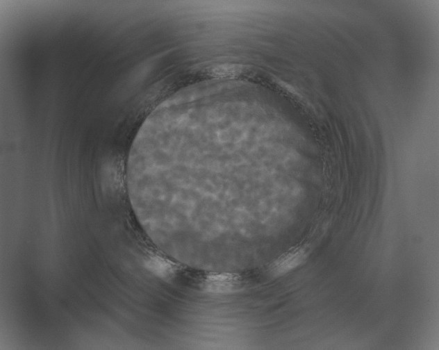 X0000074010240200609181842