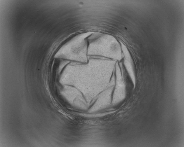 X0000074010241200609181841