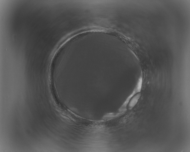 X0000074010247200609181841