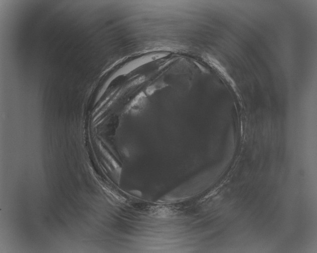 X0000074010249200609181841