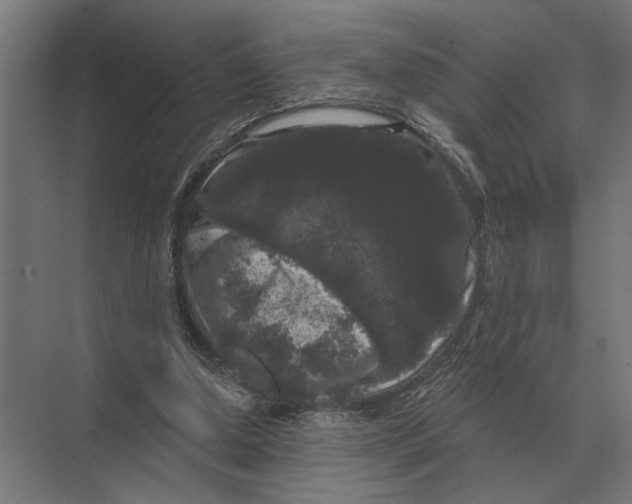 X0000074010250200609181841