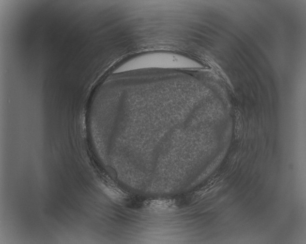 X0000074010251200609181841