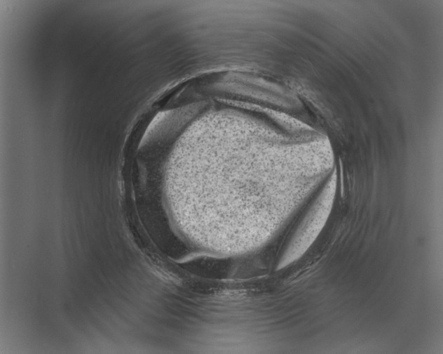 X0000074010252200609181841