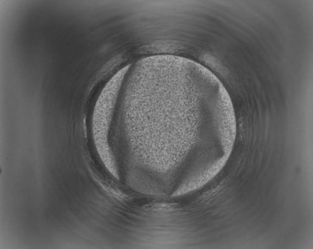 X0000074010254200609181841