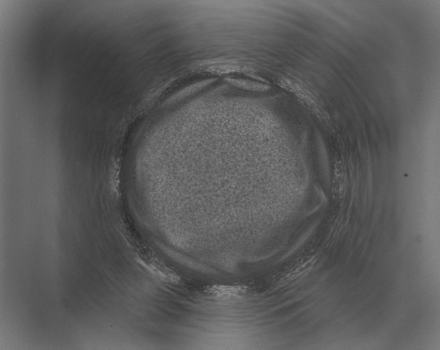 X0000074010255200609181842