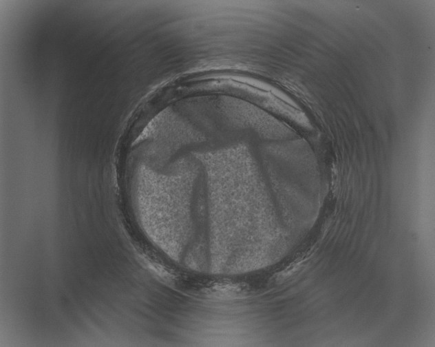 X0000074010256200609181842