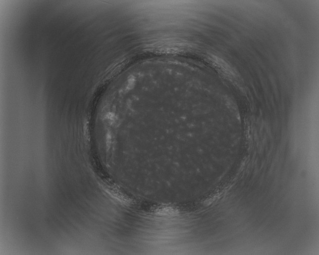 X0000074010258200609181842