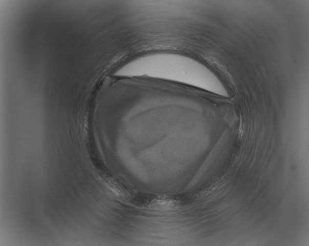 X0000074010260200609181842