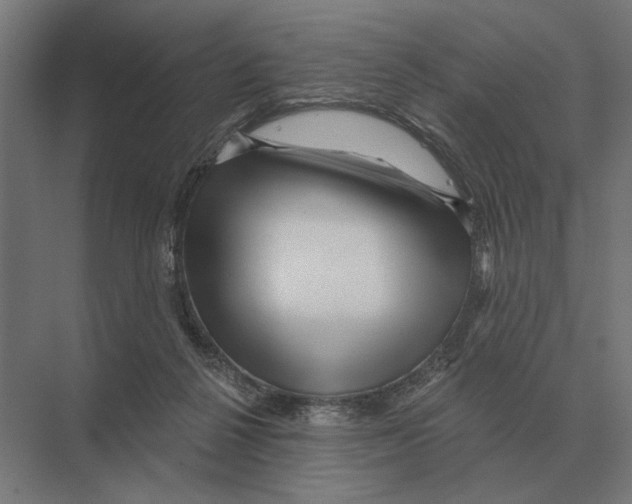 X0000074010264200609181842