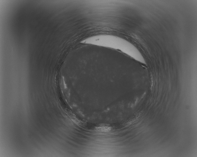 X0000074010266200609181842