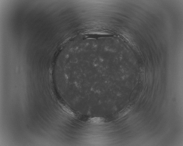 X0000074010269200609181842