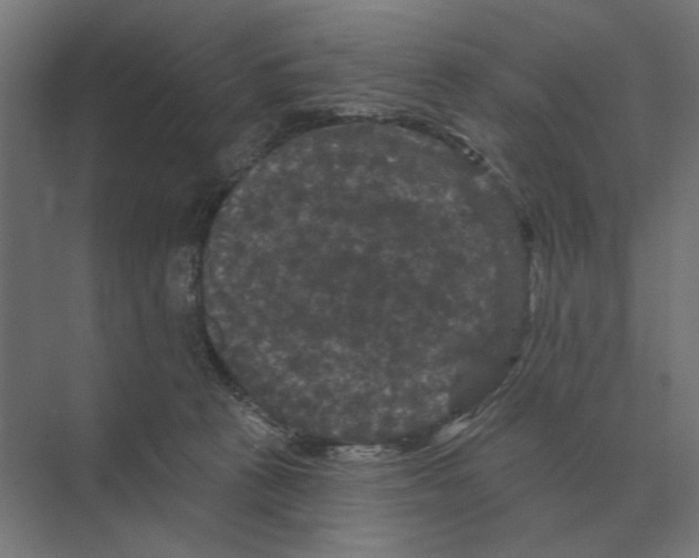 X0000074010273200609181842