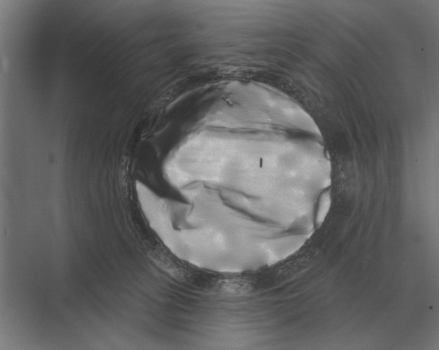 X0000074010275200609181842