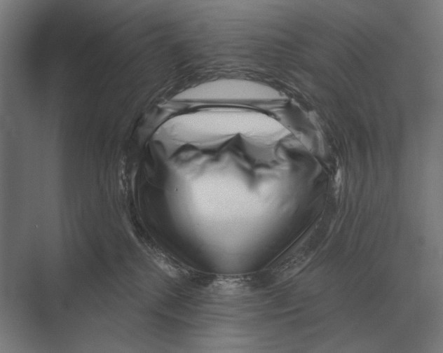 X0000074010280200609181842