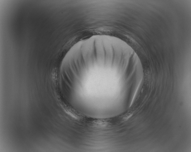 X0000074010284200609181842