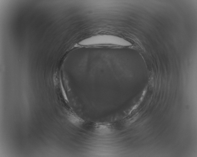 X0000074010285200609181842