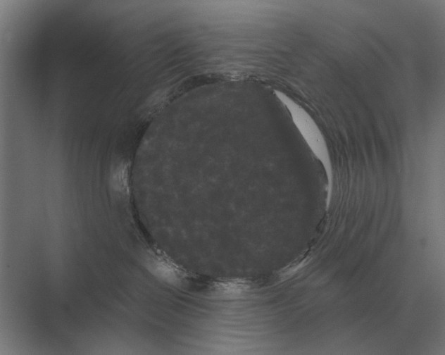 X0000074010286200609181842