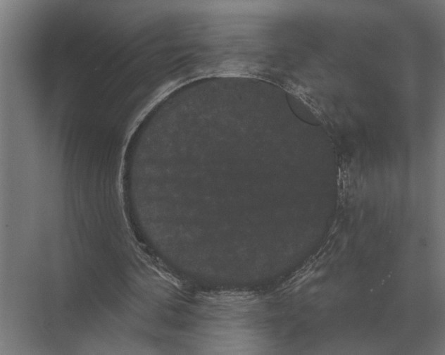 X0000074010292200609181841