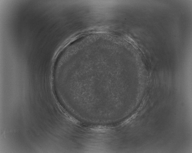 X0000074010293200609181841