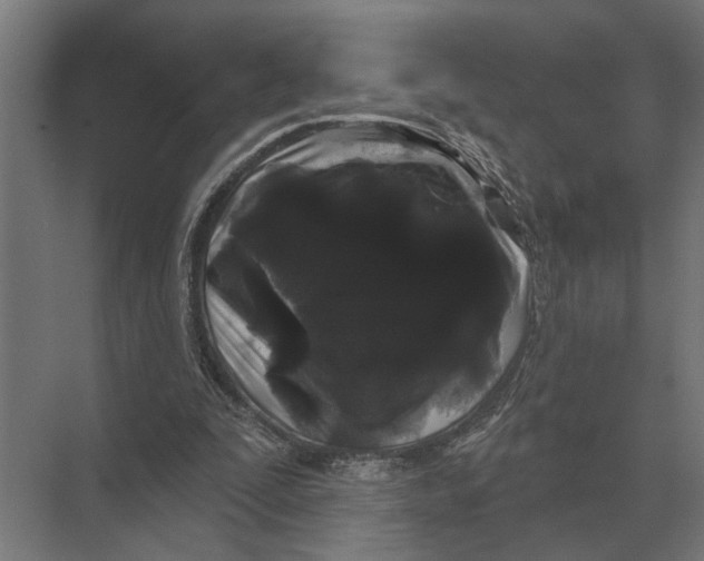 X0000074010295200609181841