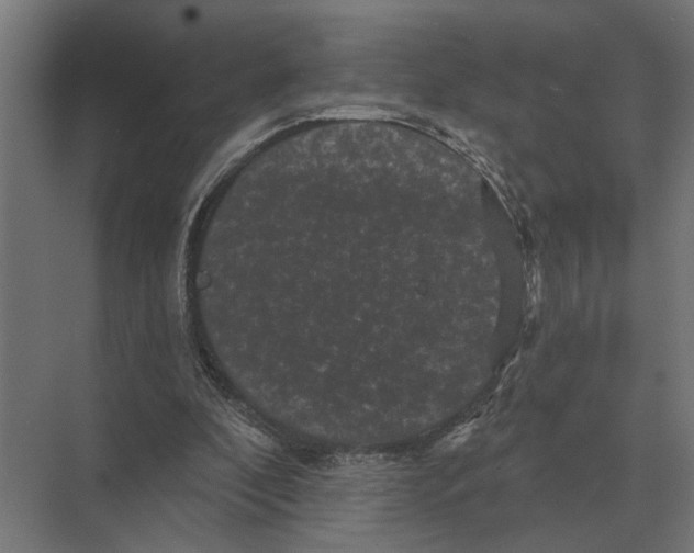 X0000074010296200609181841