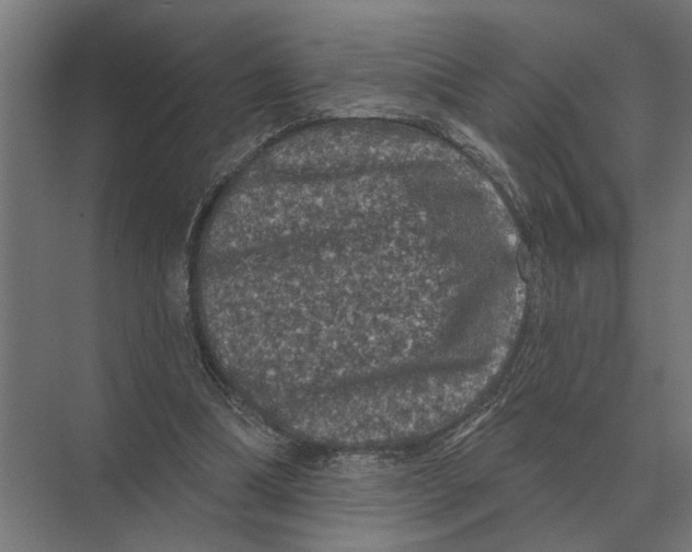 X0000074010298200609181841