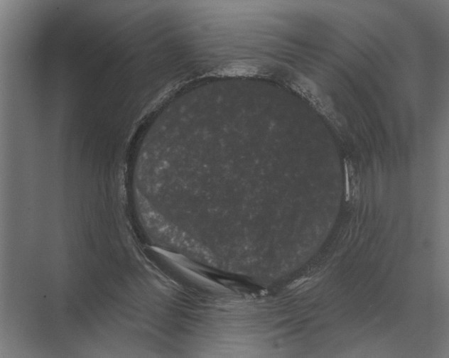 X0000074010300200609181841