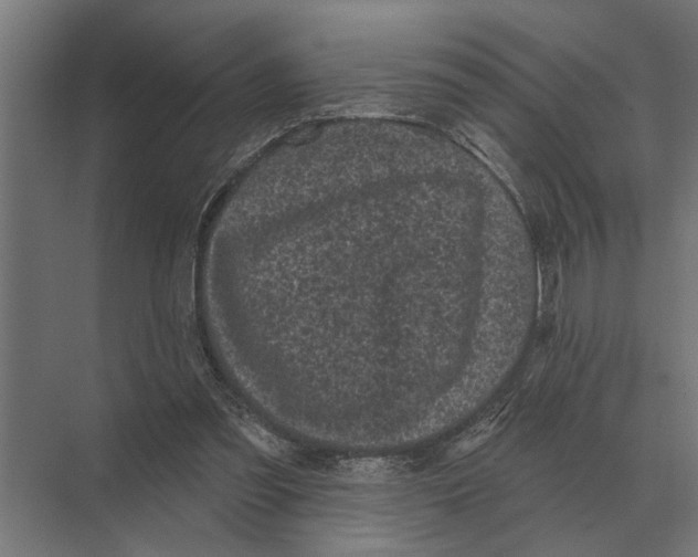 X0000074010301200609181841