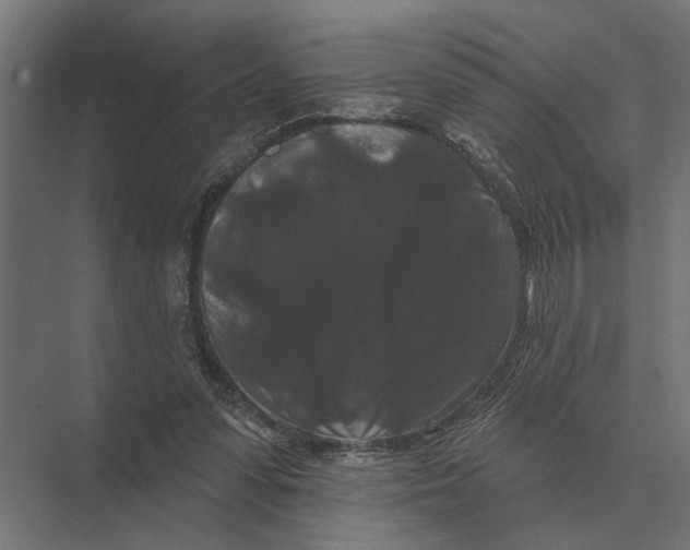 X0000074010303200609181841