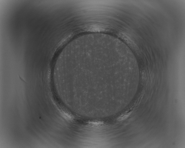 X0000074010304200609181841