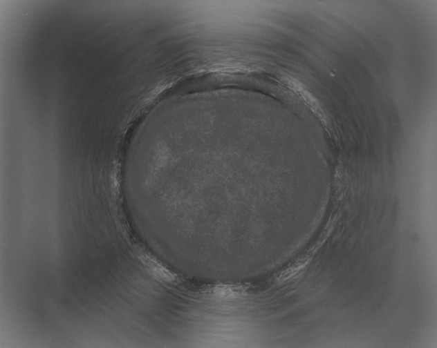 X0000074010305200609181841