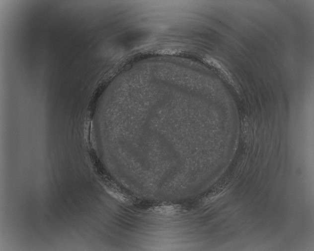 X0000074010307200609181841