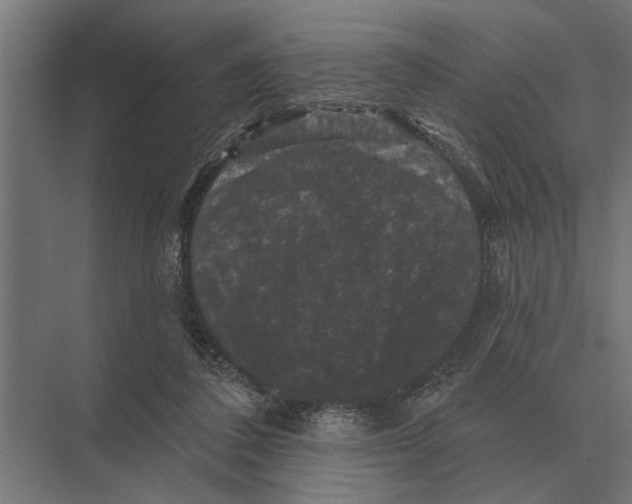 X0000074010308200609181841