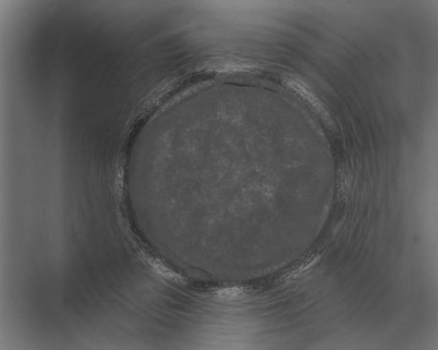 X0000074010309200609181841