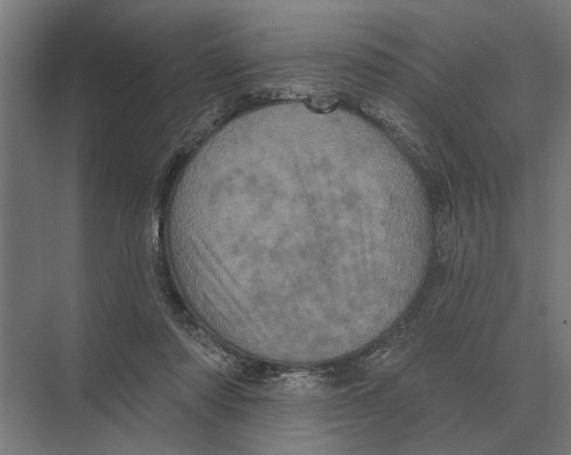 X0000074010310200609181841