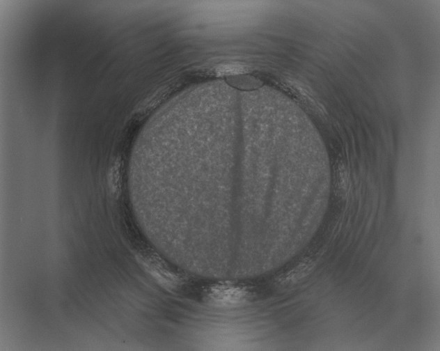 X0000074010311200609181841