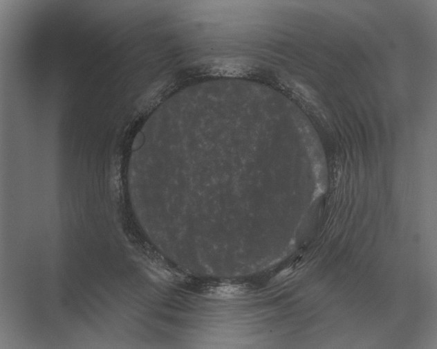 X0000074010312200609181841