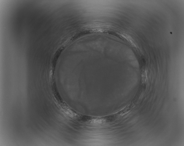 X0000074010314200609181841